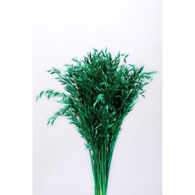 AVENA SECA VERDE 200 GR 60-65H CM