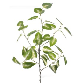 POTTOS BLANCO