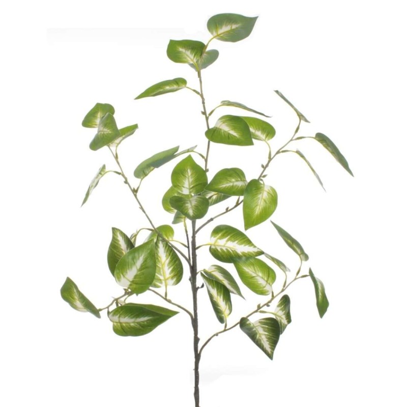 POTTOS BLANCO