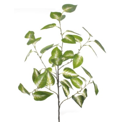 POTTOS BLANCO