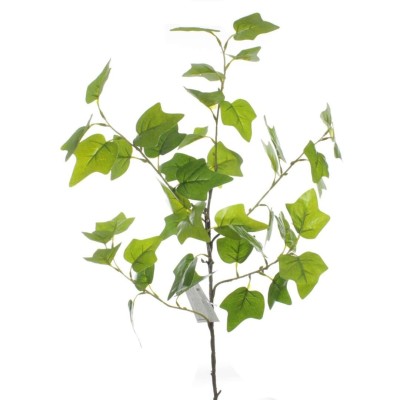 VARA HIEDRA VERDE