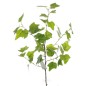 VARA HIEDRA VERDE