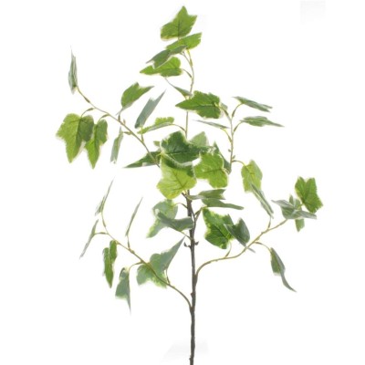 VARA HIEDRA BICOLOR