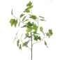 VARA HIEDRA BICOLOR