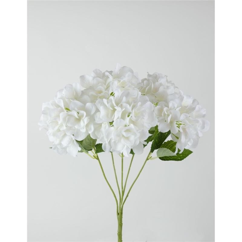 HORTENSIA X5 50X14CM BLANCO