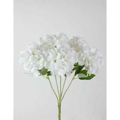 HORTENSIA X5 50X14CM BLANCO