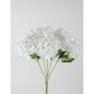 HORTENSIA X5 50X14CM BLANCO