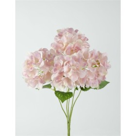 HORTENSIA X5 50X14CM SALMON