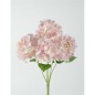 HORTENSIA X5 50X14CM SALMON