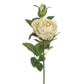 VARA ROSA LETICIA BLANCO