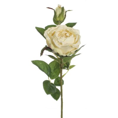 VARA ROSA LETICIA BLANCO