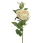 VARA ROSA LETICIA BLANCO