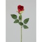CAPULLO X1 5 CM ROJO
