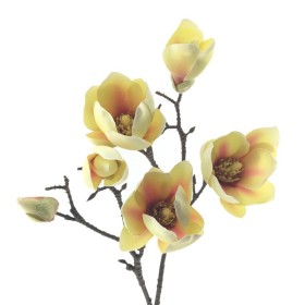 MAGNOLIA X5 AMARILLO