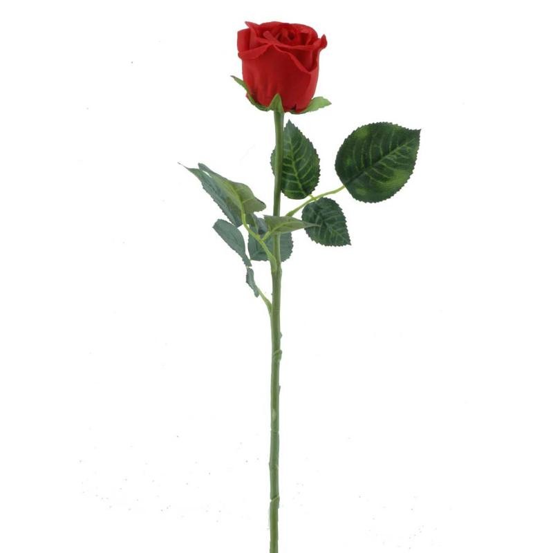 CAPULLO ROJO
