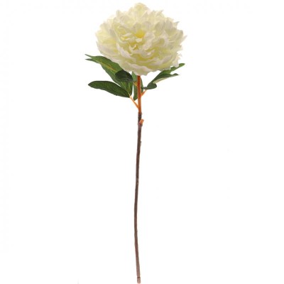PAEONIA OFFICINALIS CREMA