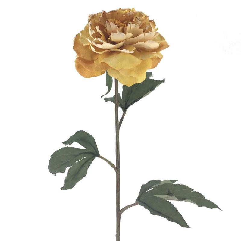 PEONIA MOSTAZA