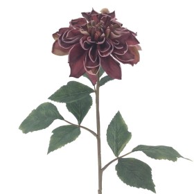 DAHLIA GRANATE