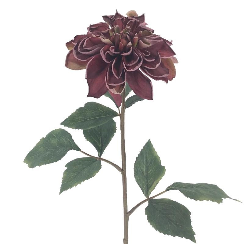 DAHLIA GRANATE