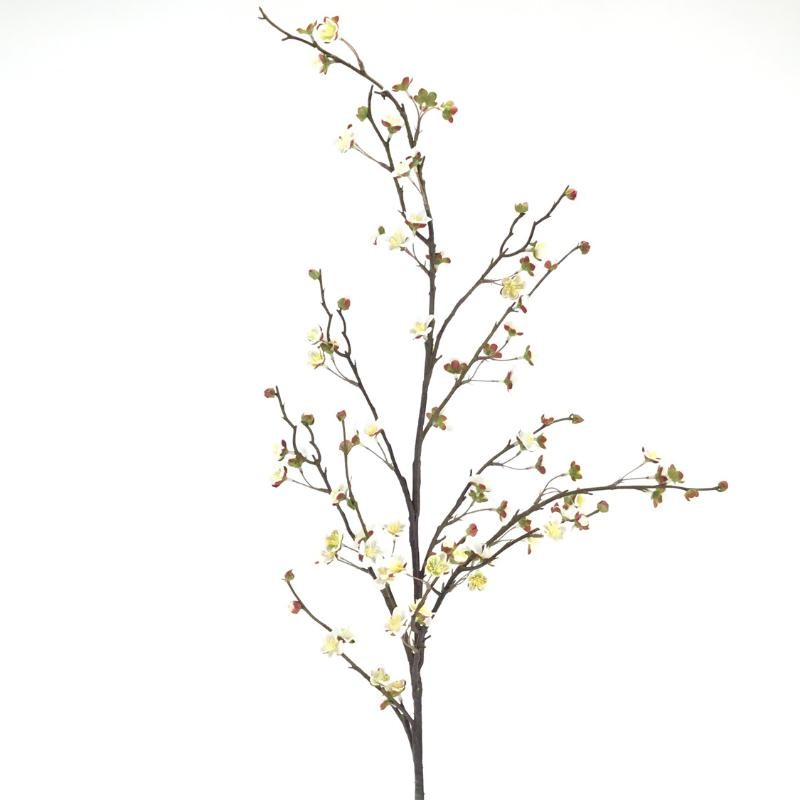 CEREZO BLANCO