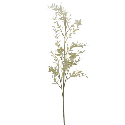 EUCALYPTUS VERDE