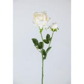 ROSA X2 62X12 CM CREMA