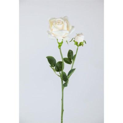 ROSA X2 62X12 CM CREMA