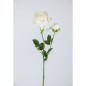 ROSA X2 62X12 CM CREMA