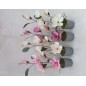 MACETA CON FLOR 4 COL SURT 53H CM                 