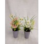 MACETA CON FLOR 2 COL SURT 28H CM