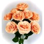 RAMO DE ROSAS X 10 SALMON