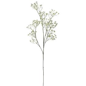 GYPSOPHILIA BLANCO