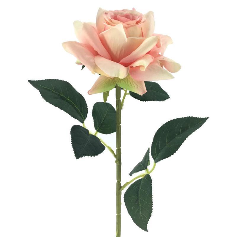 ROSA ARTHUR ROSA