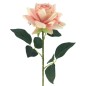 ROSA ARTHUR ROSA