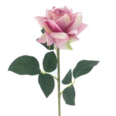 ROSA ARTHUR MALVA