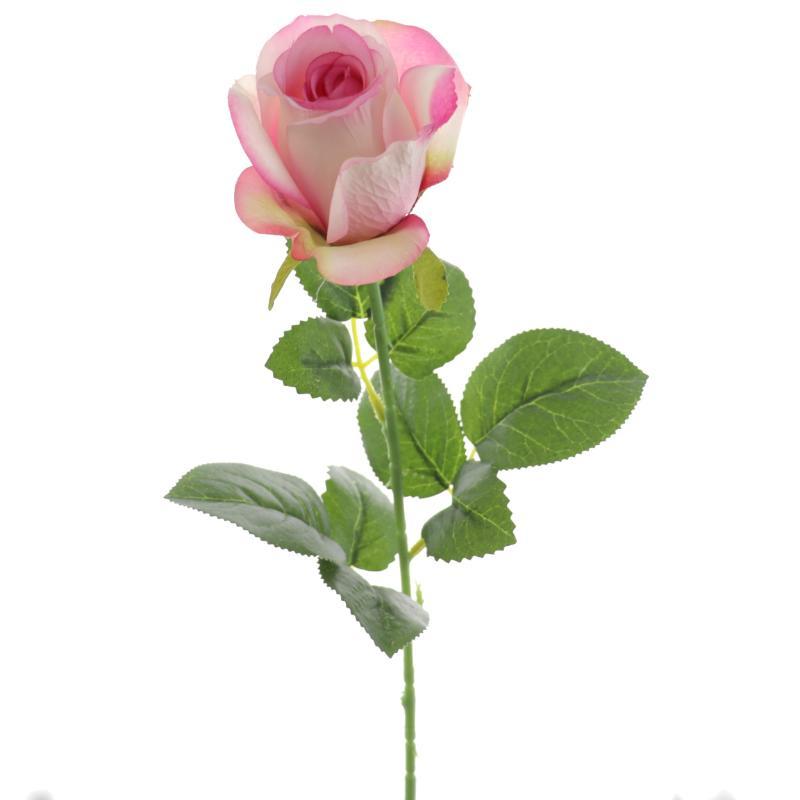 CAPULLO DE ROSA MALVA