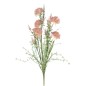 RAMO SILVESTRE ALLIUM SALMON