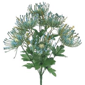 RAMO LEUCUSPERMUN AZUL