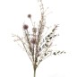 MATA ROMERO ALLIUM LILA
