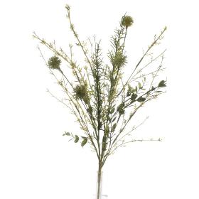 MATA ROMERO ALLIUM VERDE
