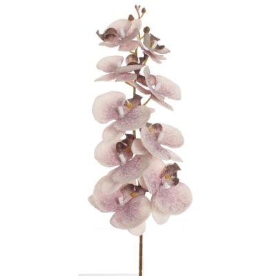 VARA ORQUIDEA OTOÑAL LILA