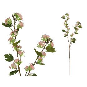 VARA PEACH BLOSSOM 91 MC ROSA