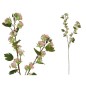VARA PEACH BLOSSOM 91 MC ROSA