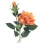 ROSA X2 NARANJA