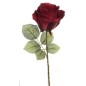 VARA ROSA DELIA ROJO