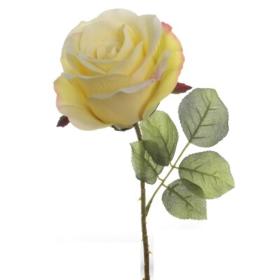 VARA ROSA DELIA AMARILLO