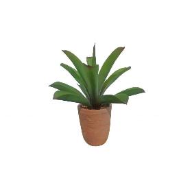 ALOE VERA 38 CM