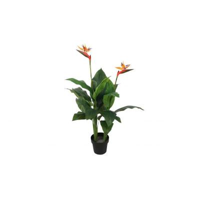 PLANTA AVE DEL PARAISO 120 CM