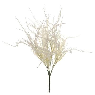 RAMO DIGITARIA CREMA