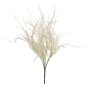 RAMO DIGITARIA CREMA